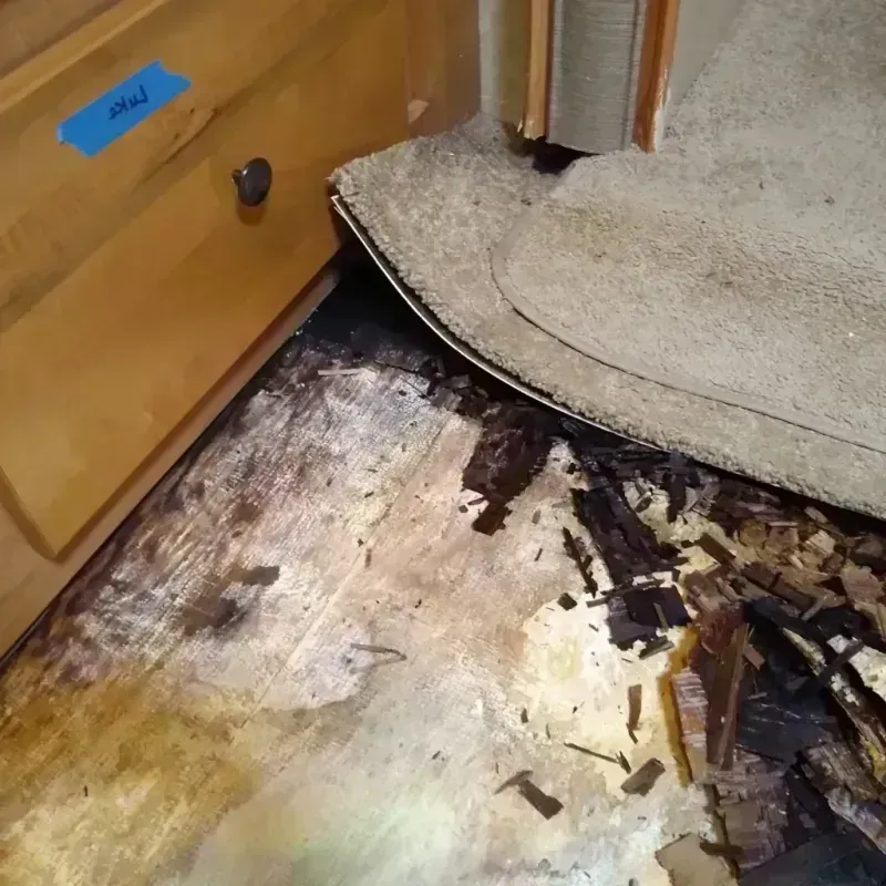 Wood Floor Water Damage in Temple, TX